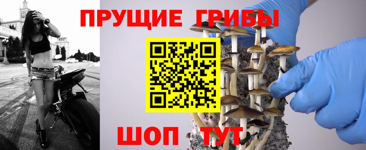 Псилоцибиновые грибы MAGIC MUSHROOMS Унеча